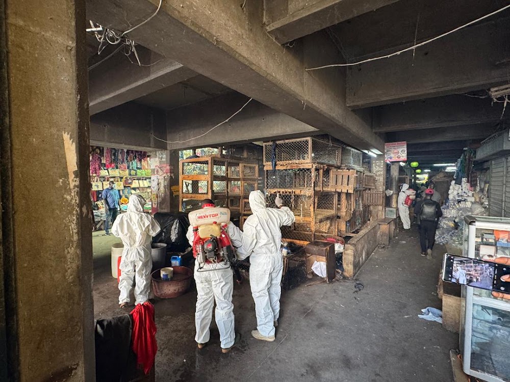 Marchés de volailles | Avant les fêtes de fin d’année